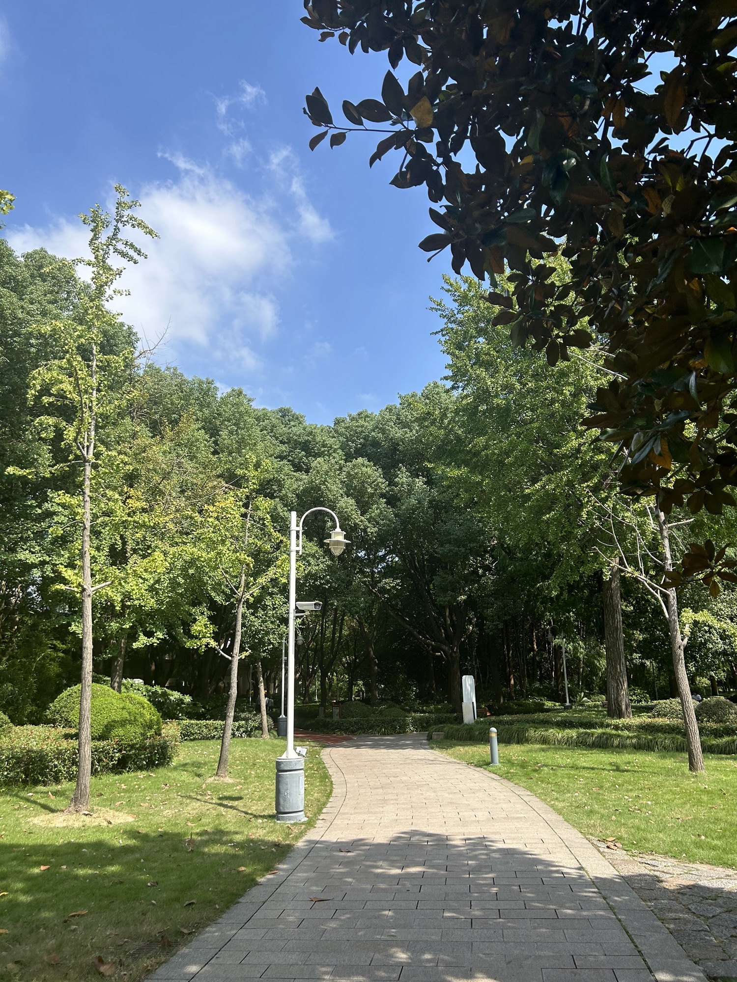 新虹桥中心花园旅行图片 1