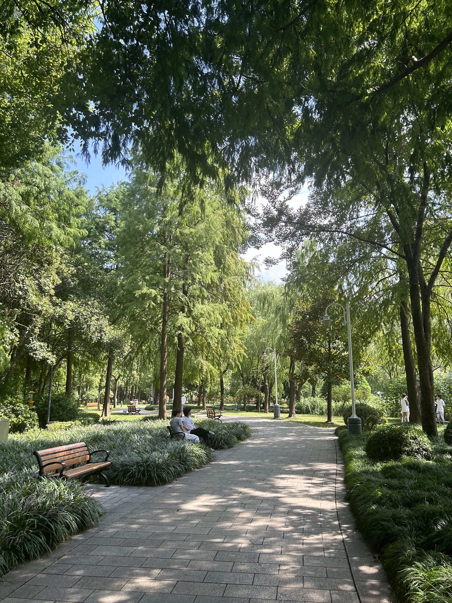 新虹桥中心花园旅行图片 2