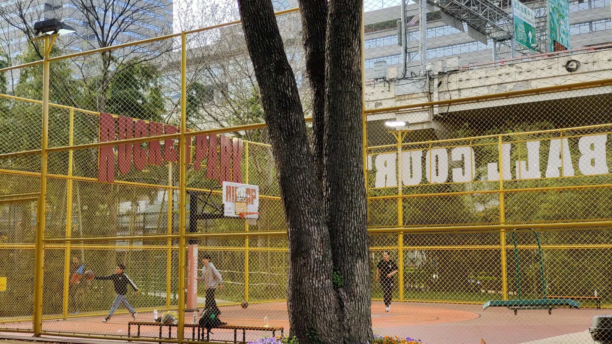 新虹桥中心花园旅行图片 1