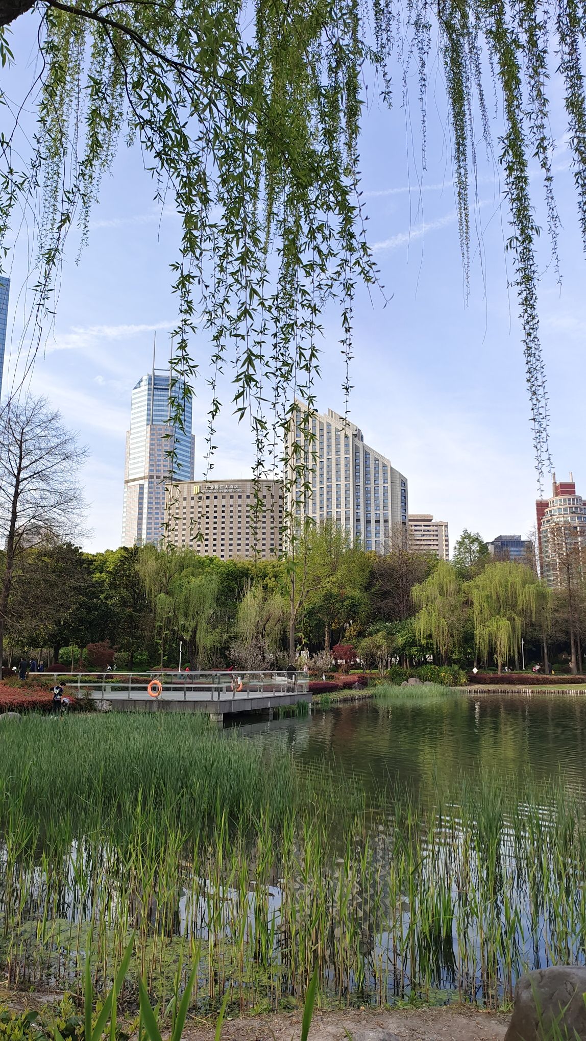 新虹桥中心花园旅行图片 3