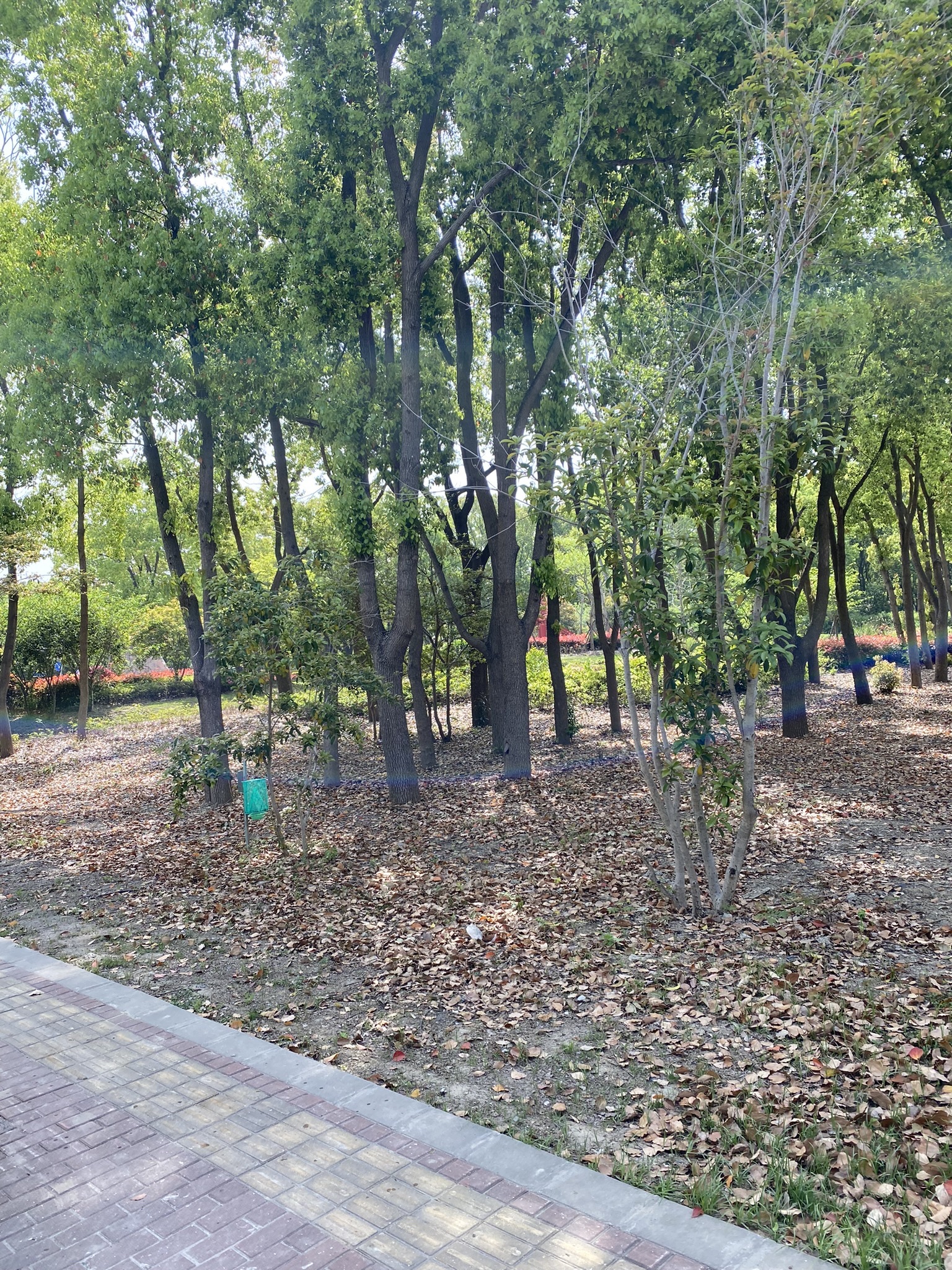 旗忠公园