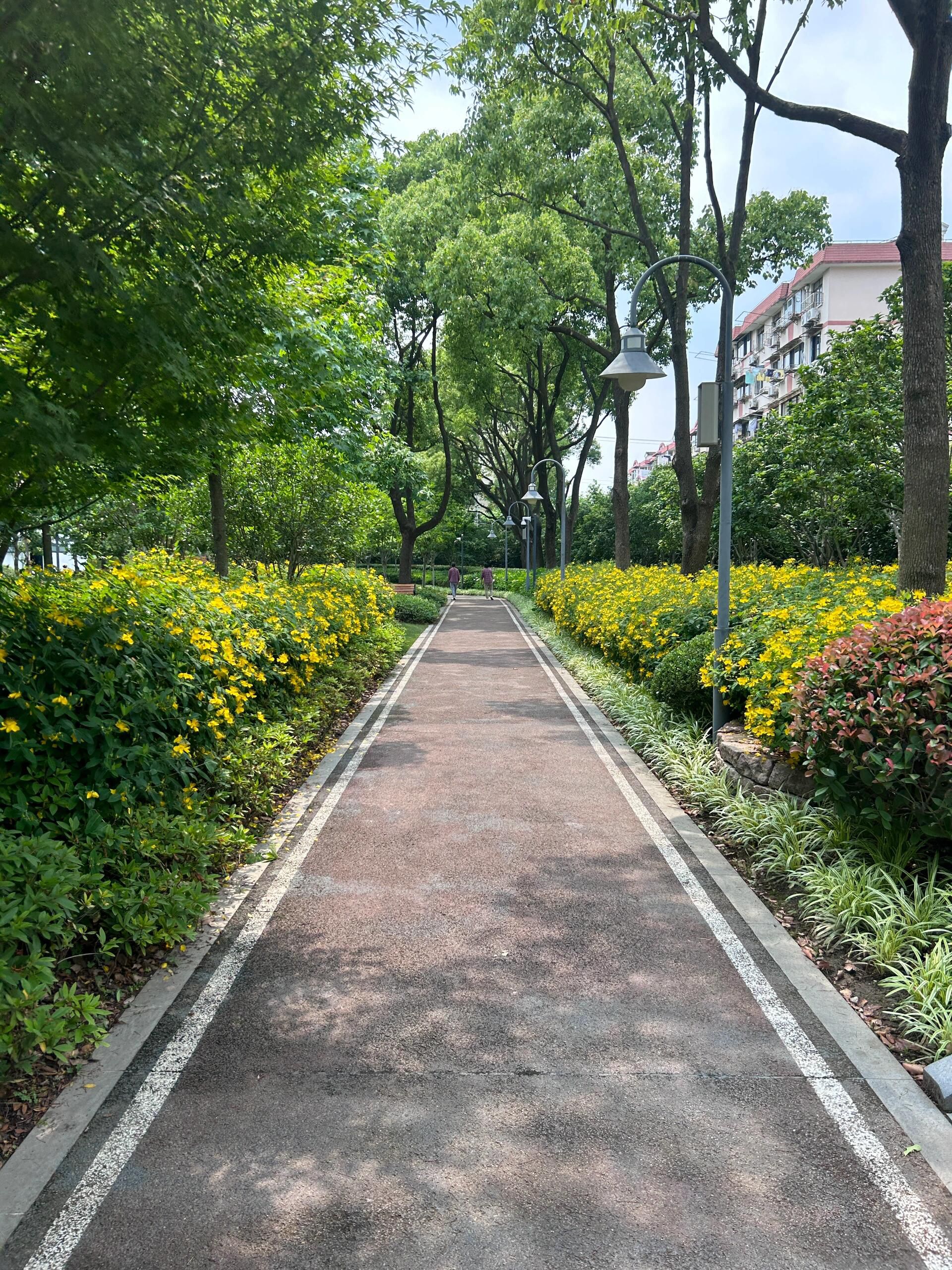 永和公园旅行图片 1