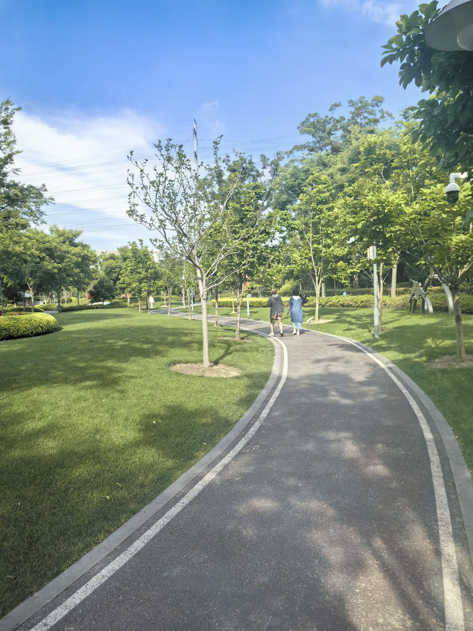 永和公园旅行图片 2