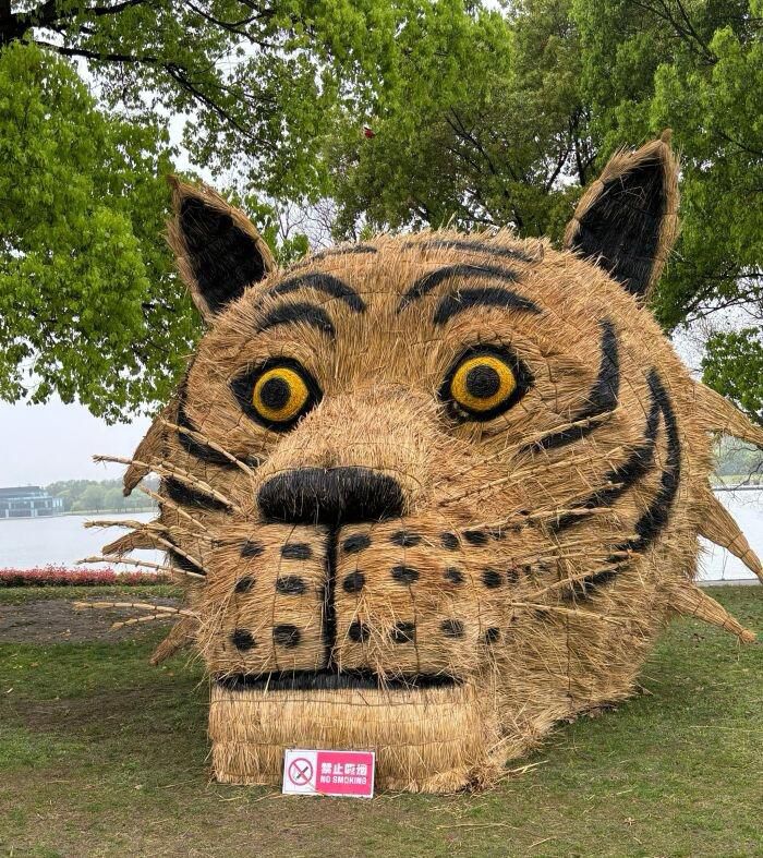 上海月湖雕塑公园旅行图片 1