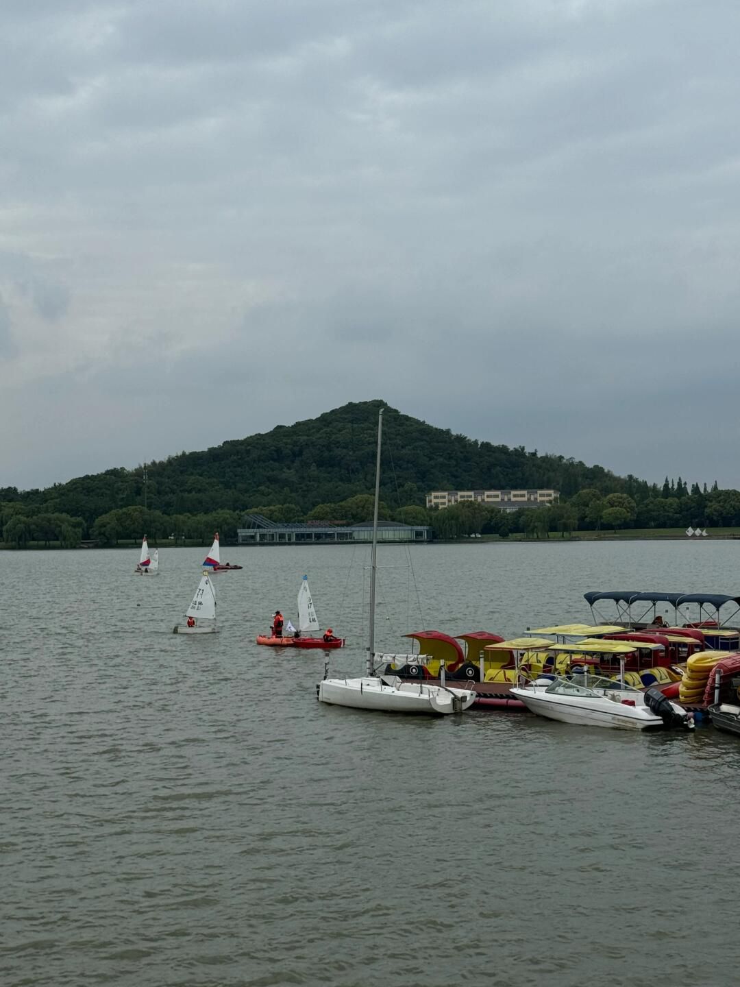 上海月湖雕塑公园旅行图片 1