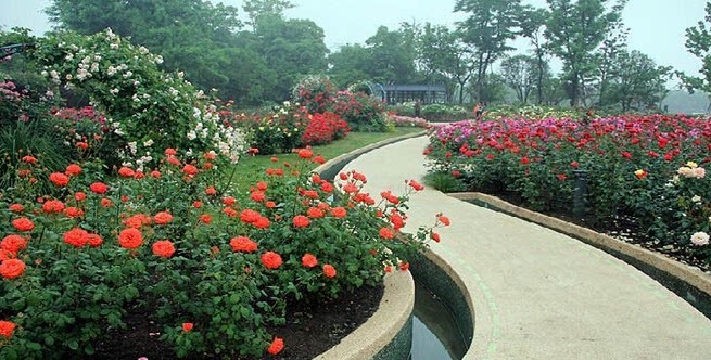 上海滨江森林公园旅行图片 1