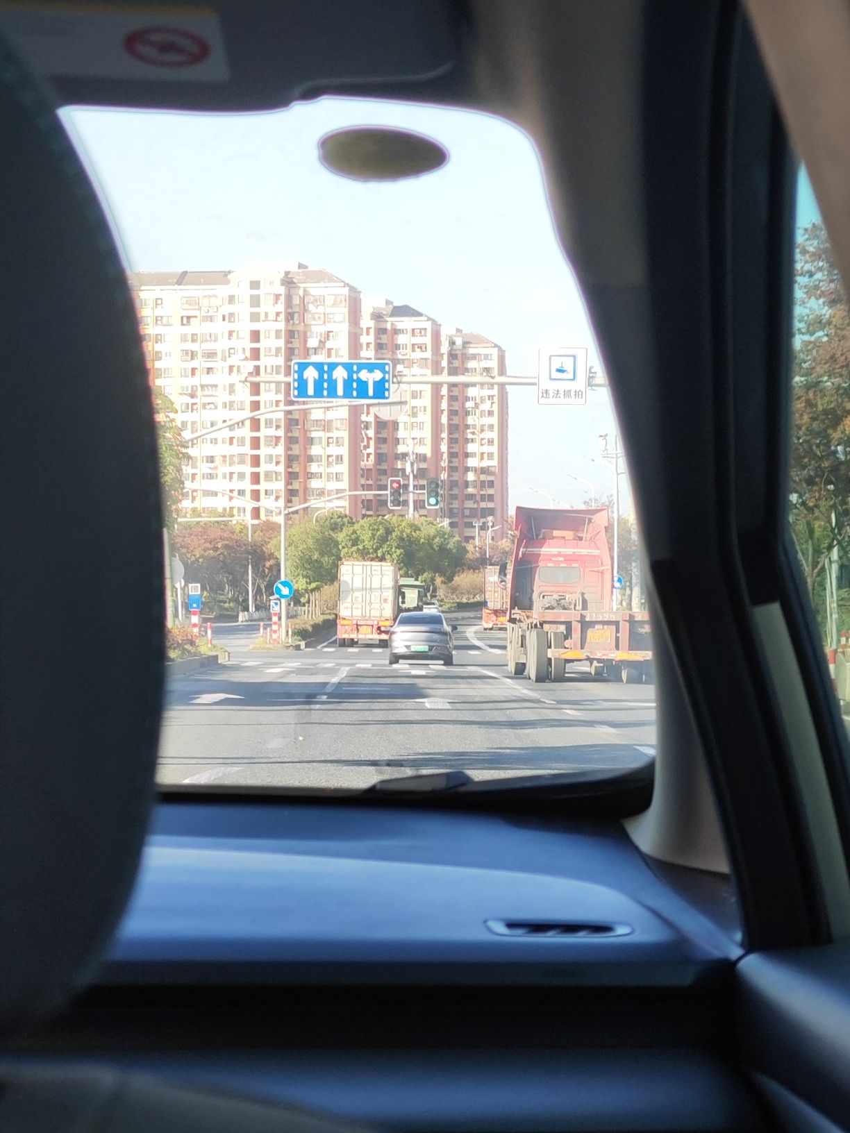 上海滨江森林公园旅行图片 1