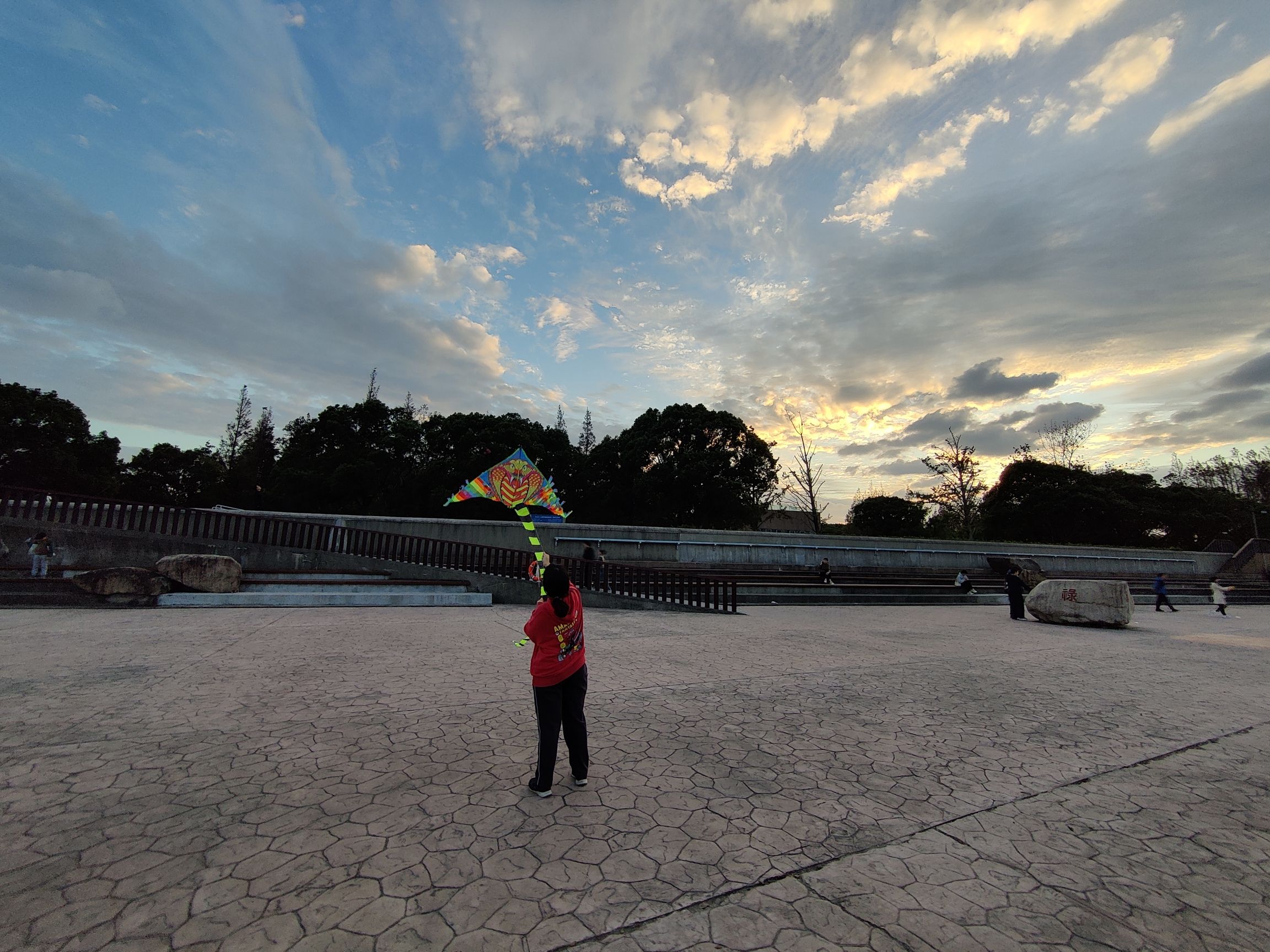 上海滨江森林公园旅行图片 1