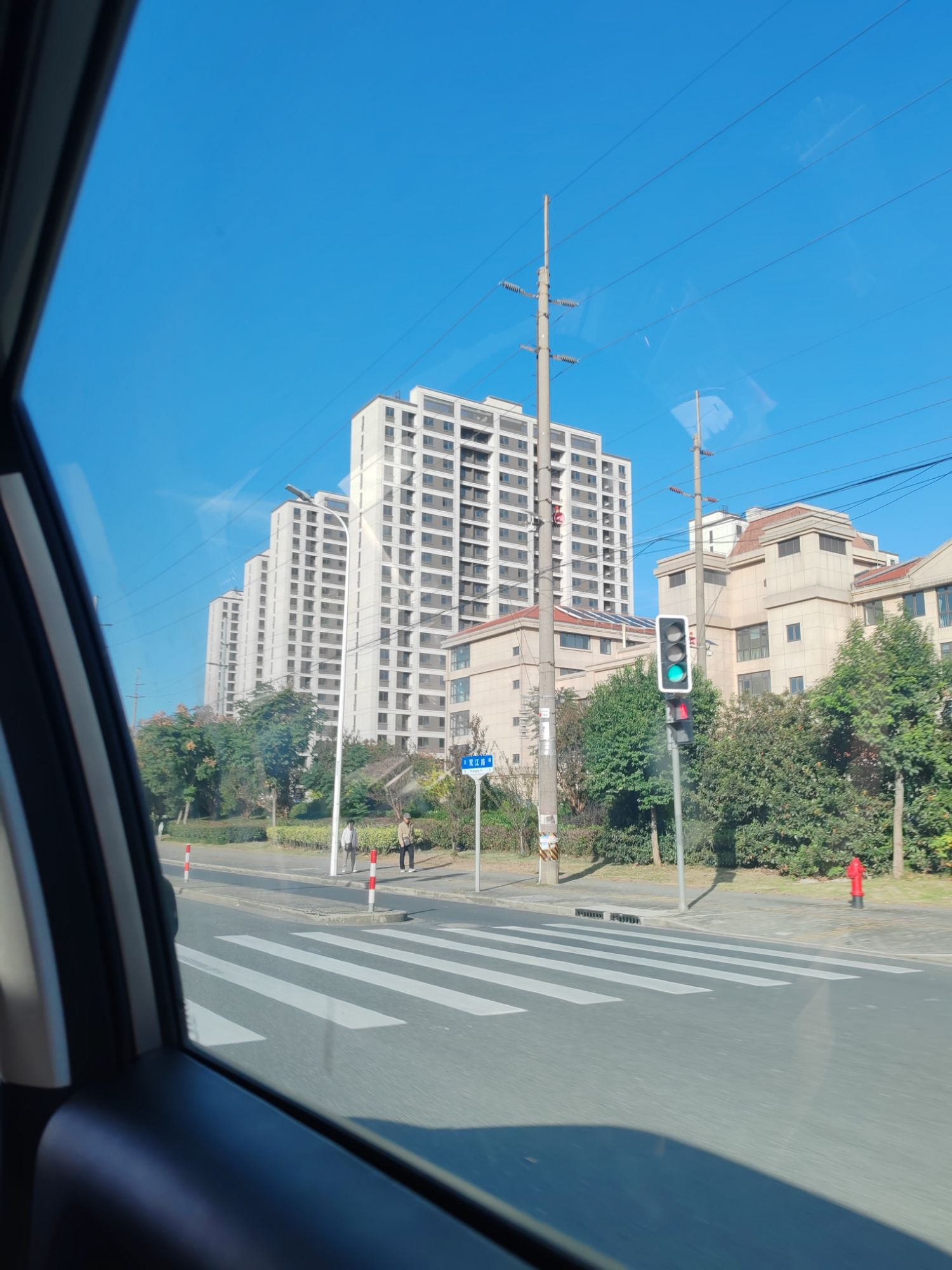 上海滨江森林公园旅行图片 2
