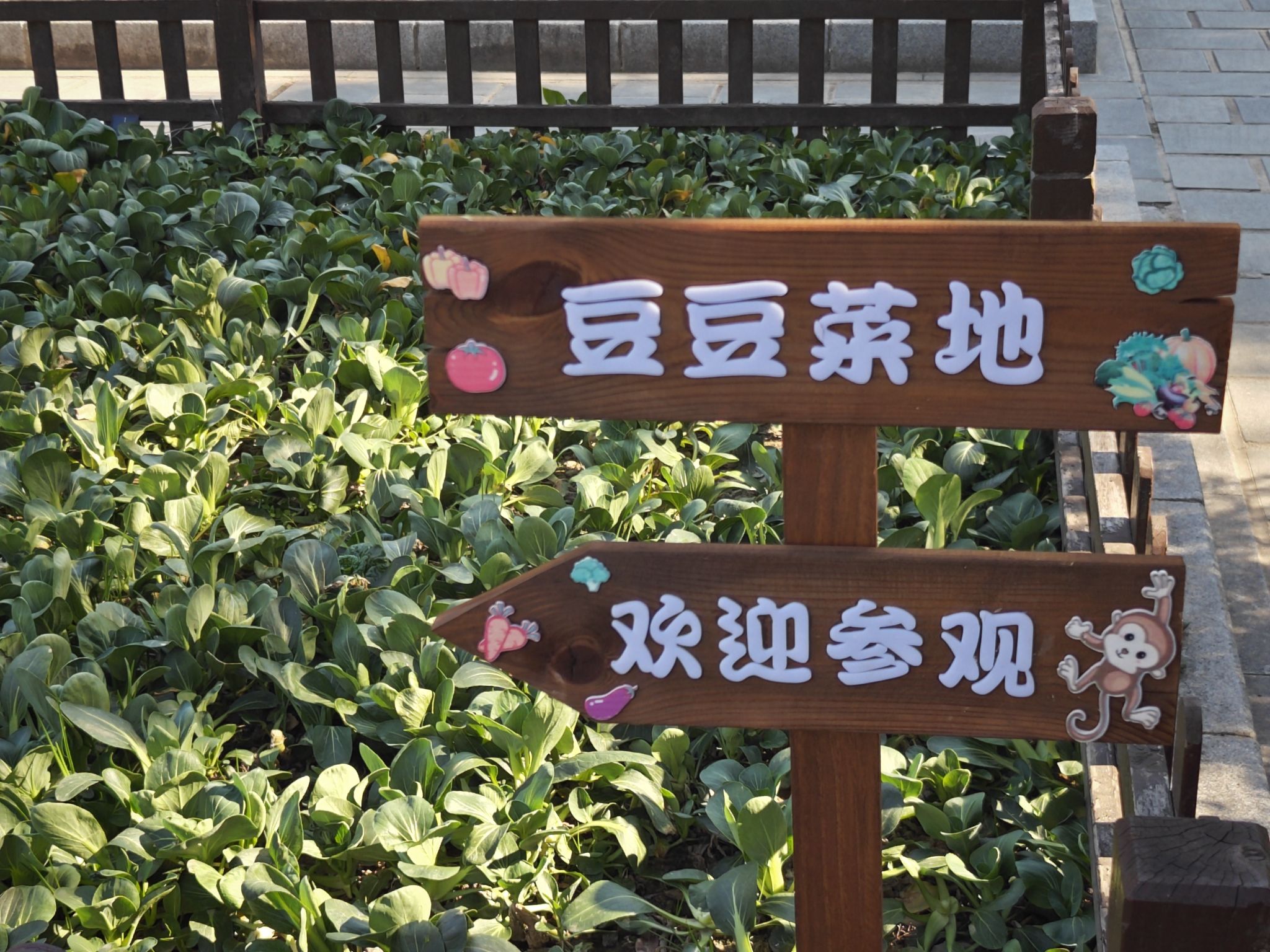 豆香园旅行图片 3