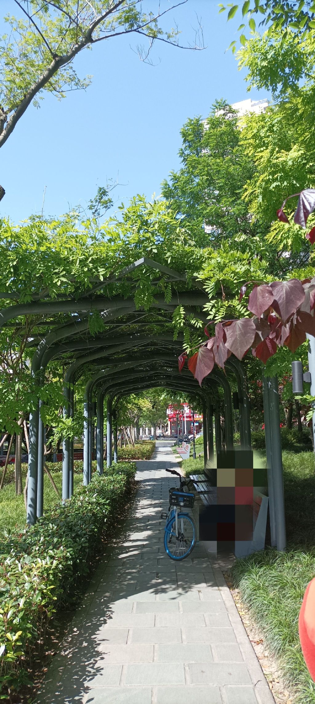 豆香园旅行图片 1