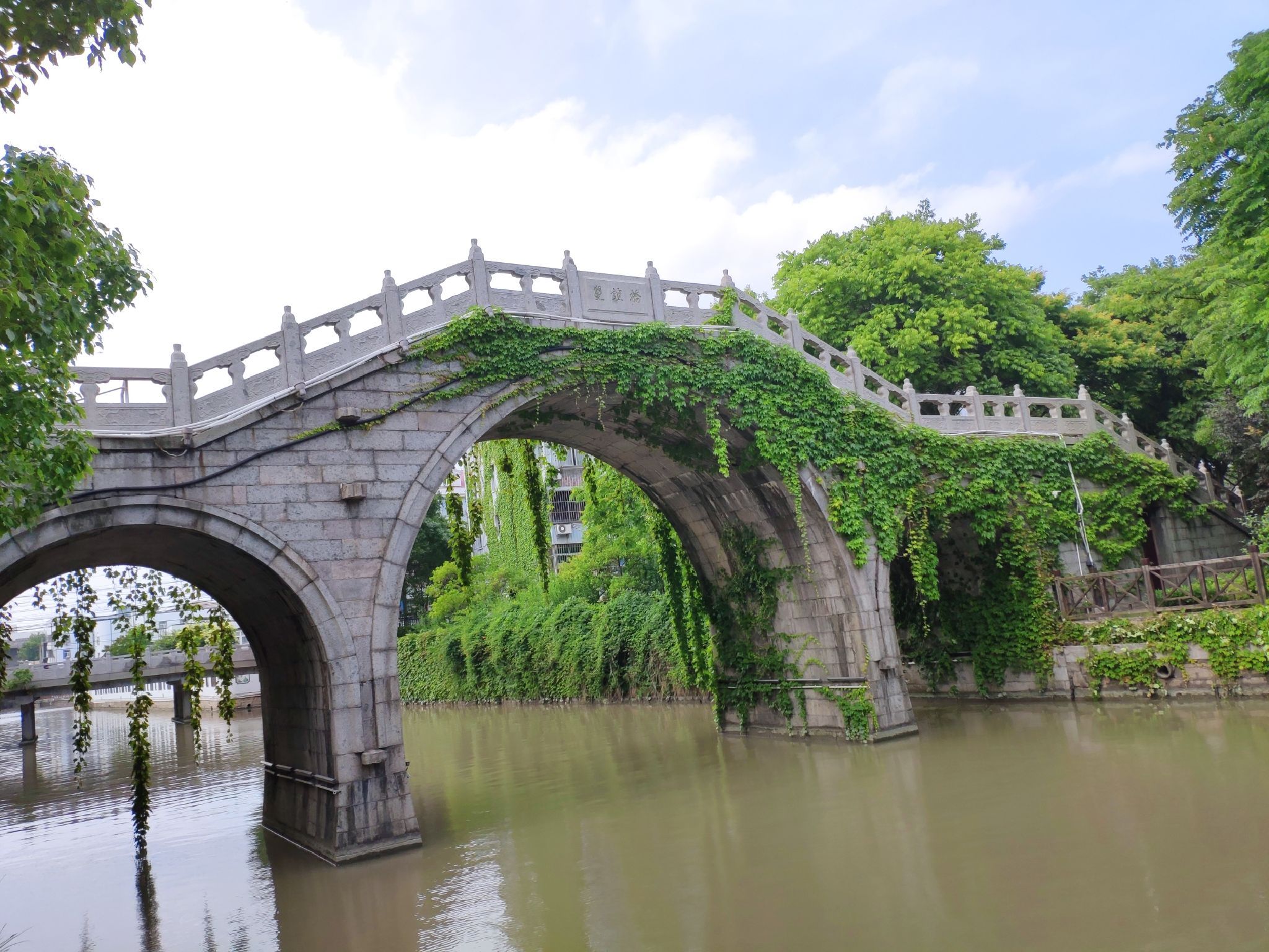 川沙公园旅行图片 2