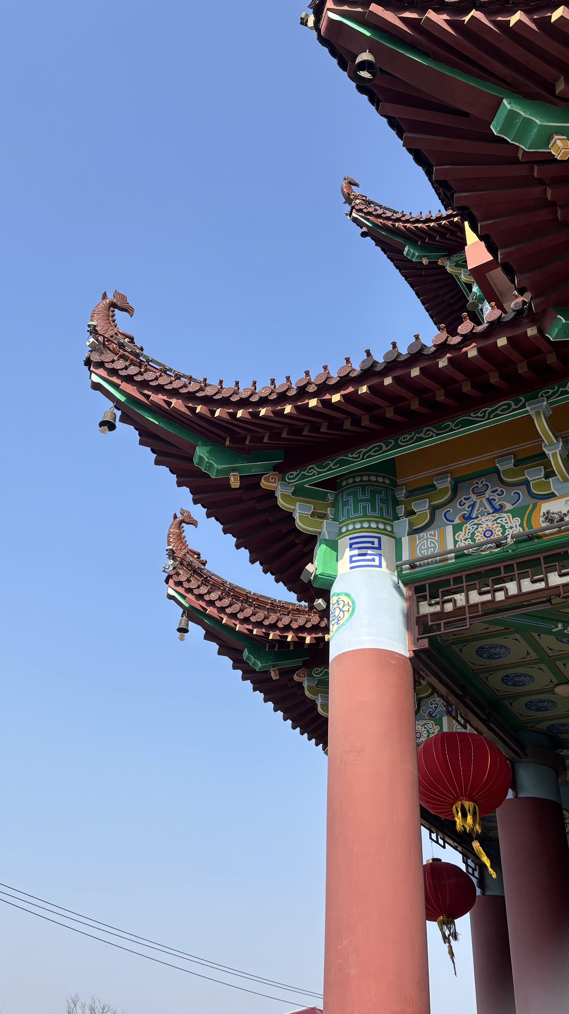川沙公园旅行图片 2