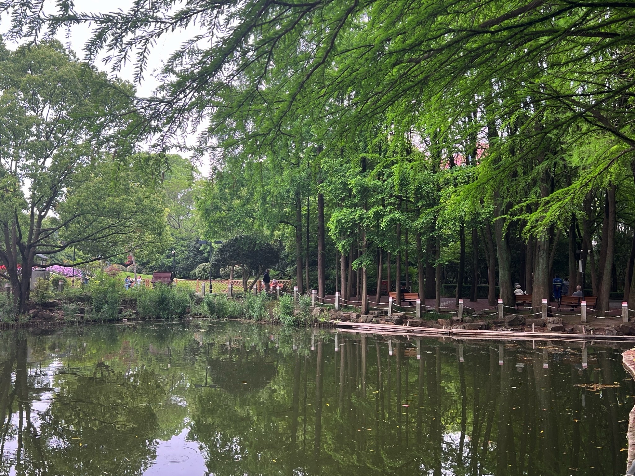 川沙公园旅行图片 1