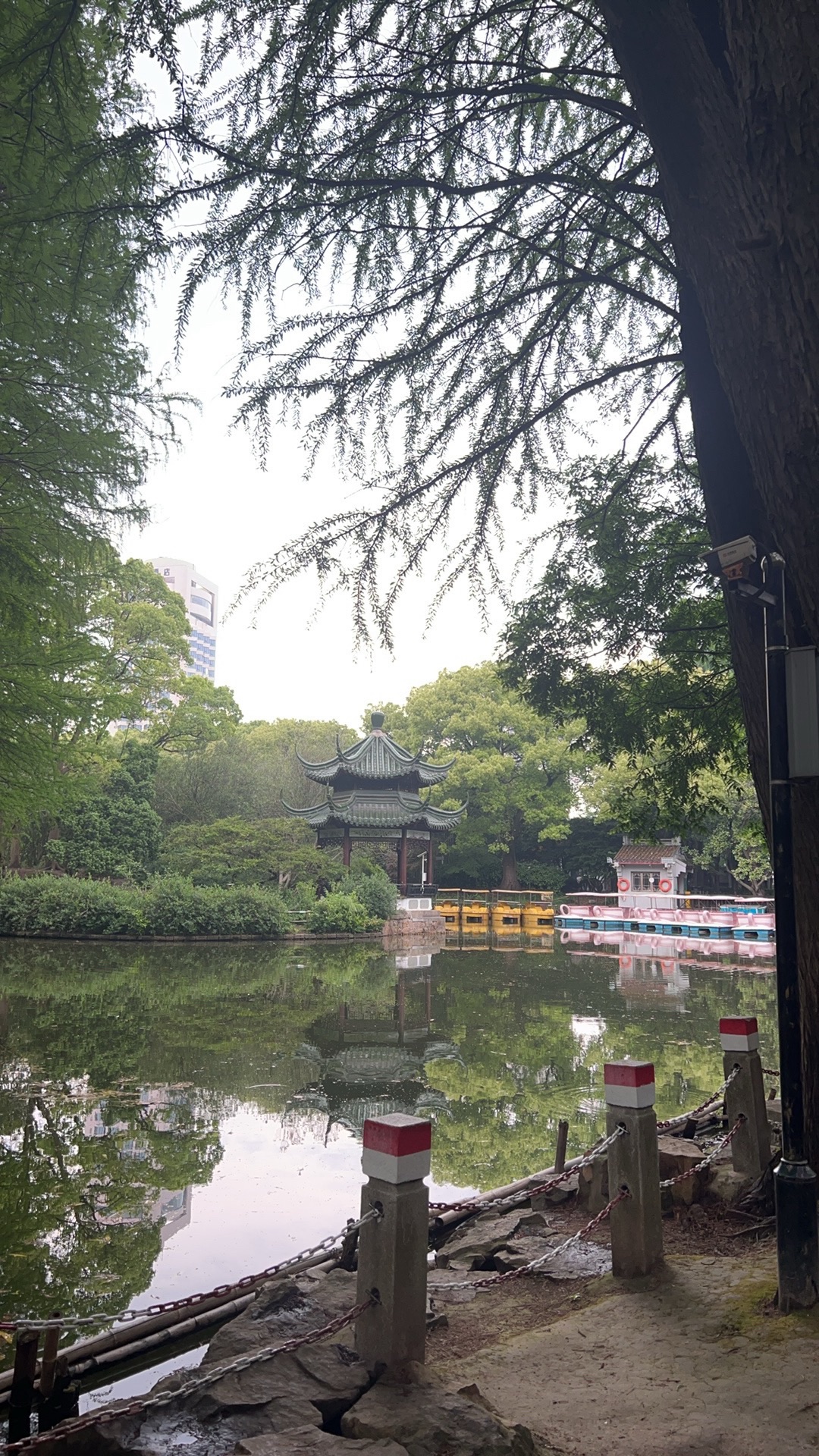川沙公园旅行图片 3