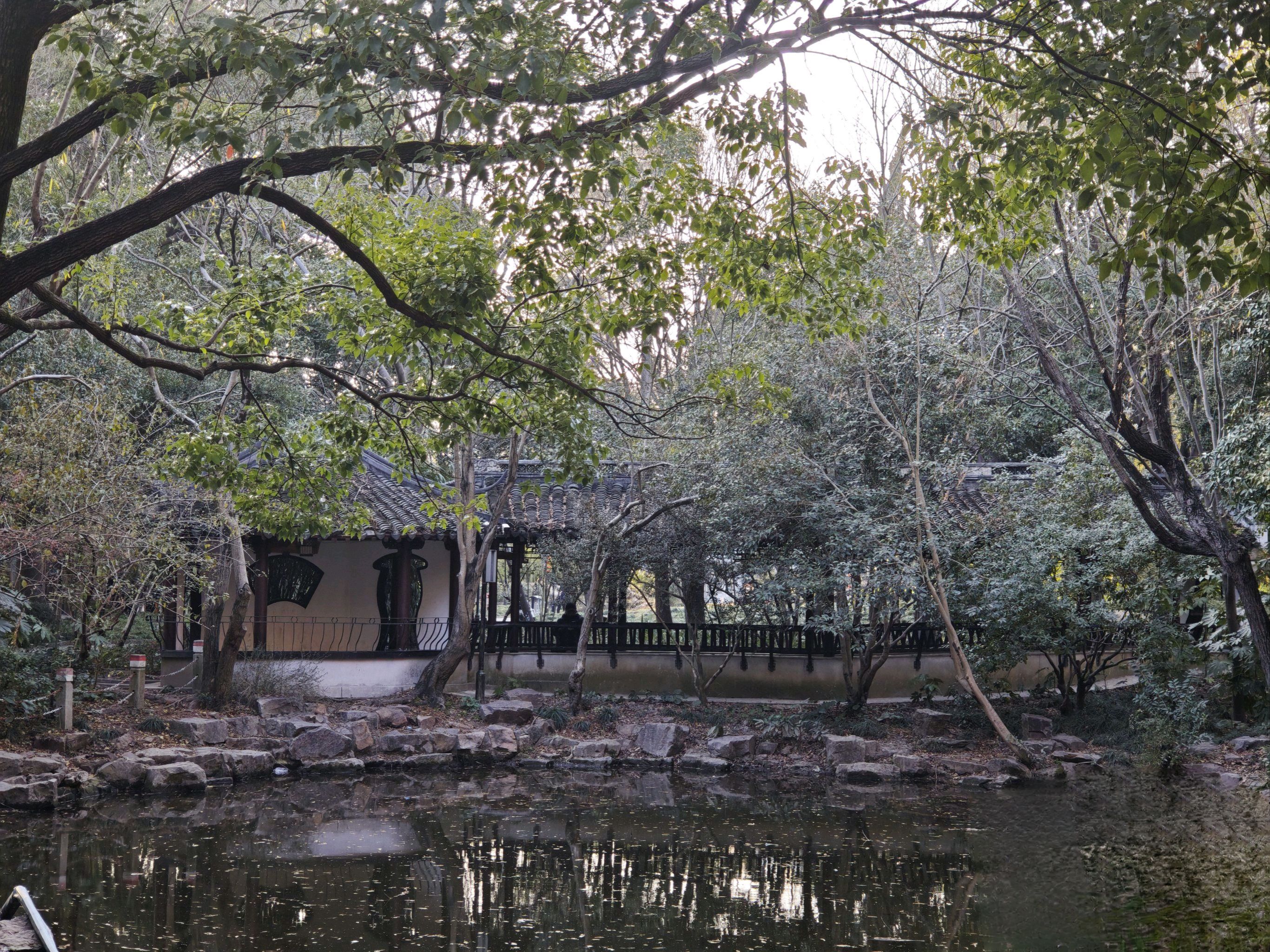 川沙公园旅行图片 2