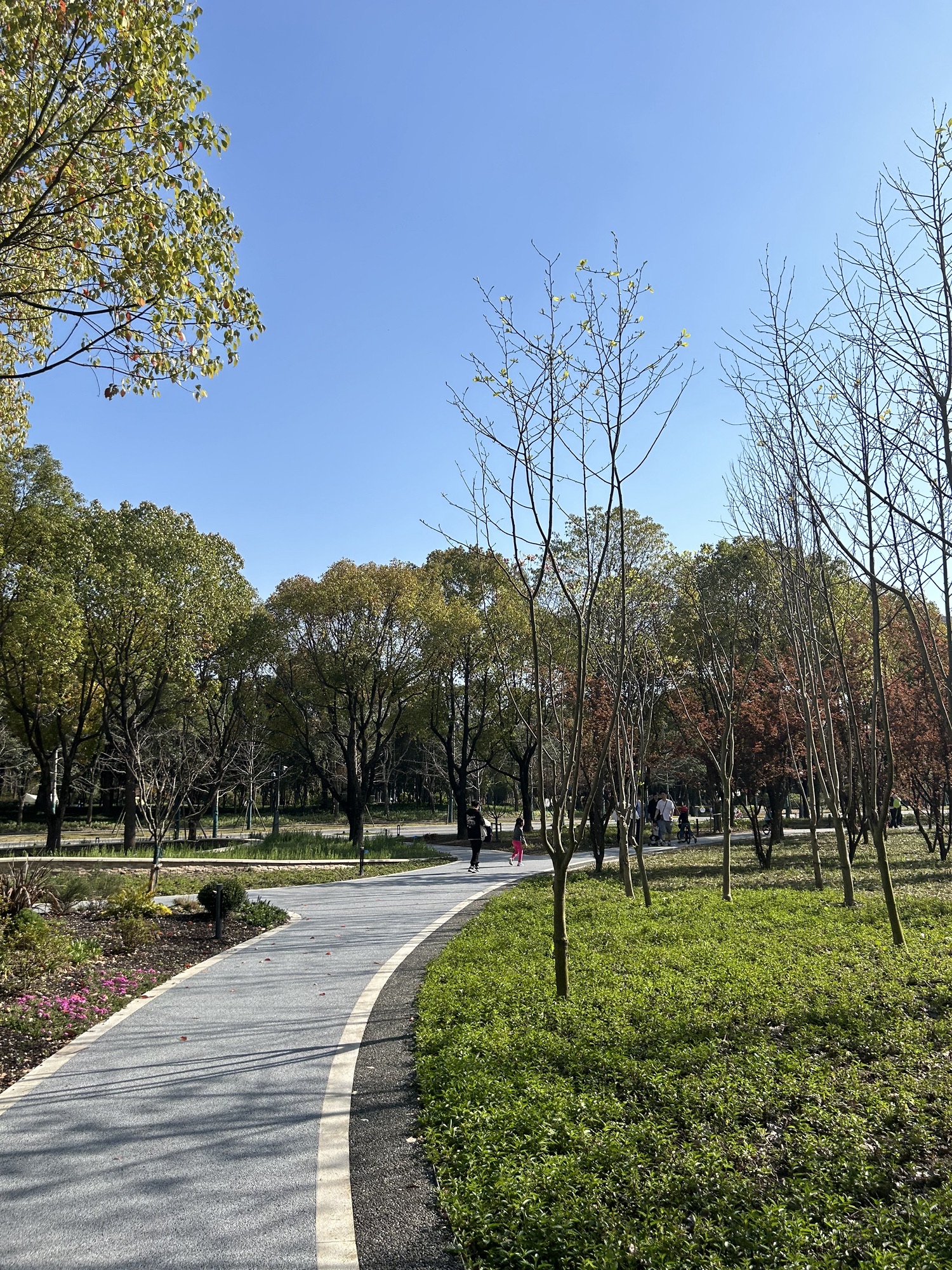 西岸自然艺术公园旅行图片 3
