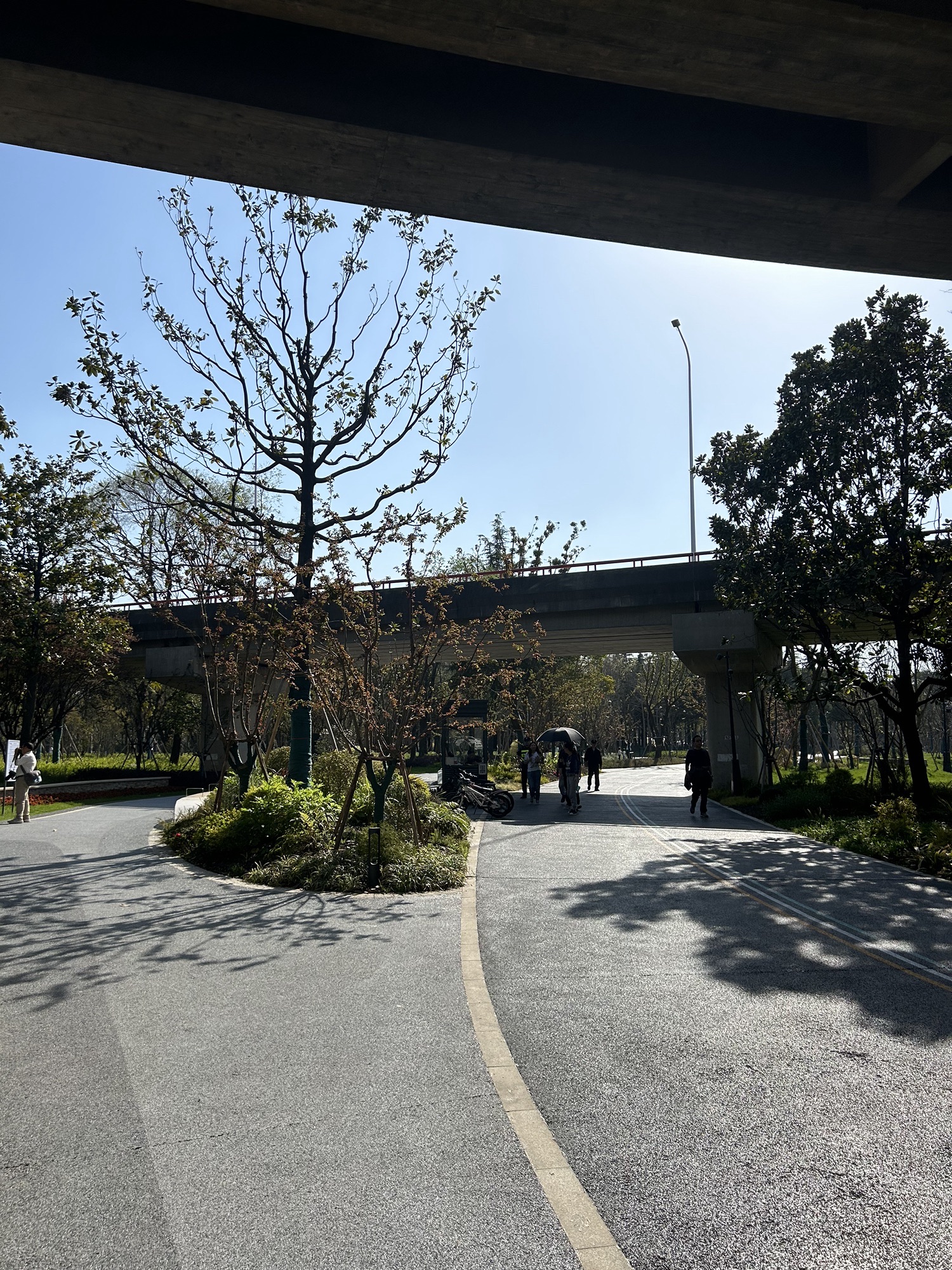 西岸自然艺术公园旅行图片 1