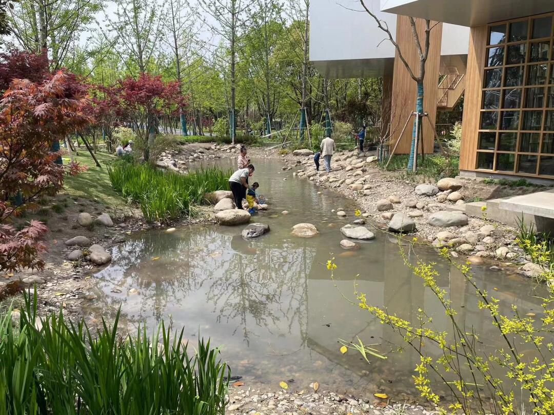 西岸自然艺术公园旅行图片 1