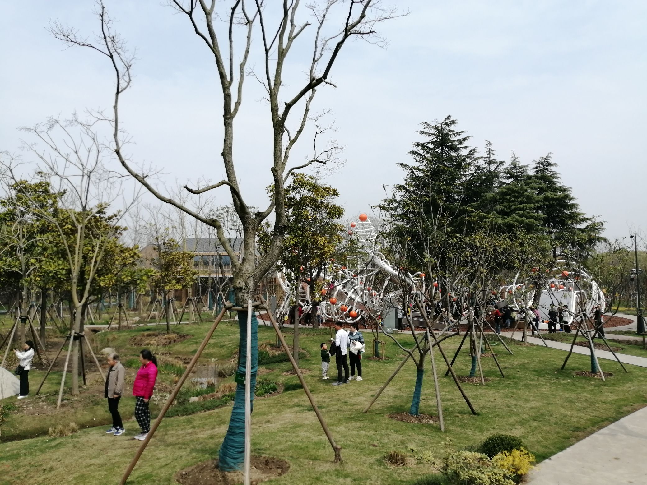 西岸自然艺术公园旅行图片 2