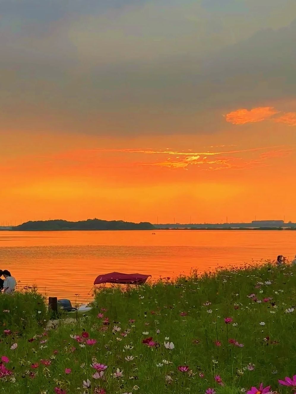 淀山湖风景区旅行图片 1
