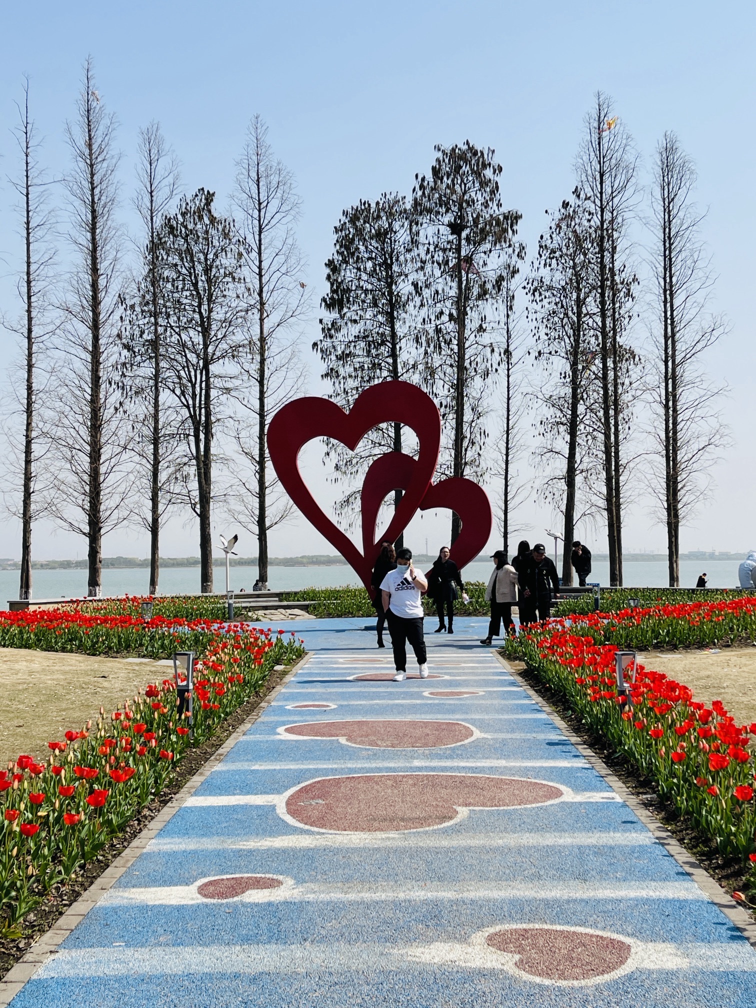 淀山湖风景区旅行图片 3