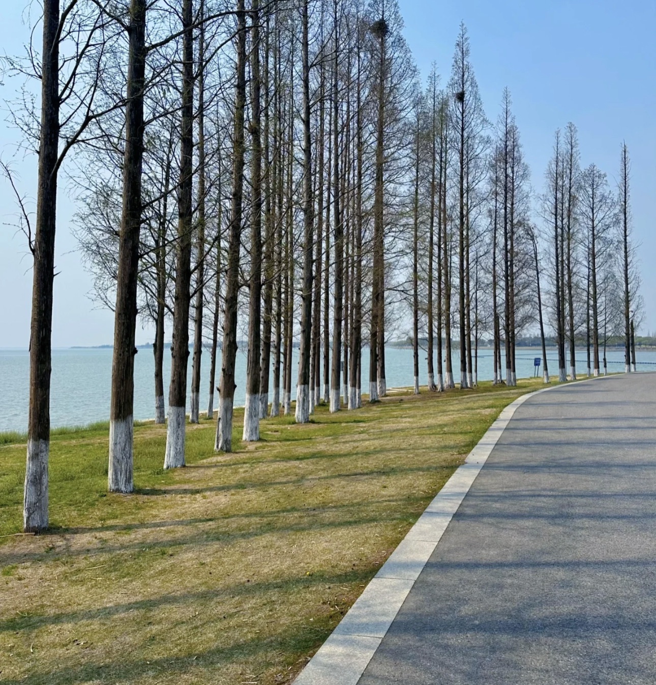 淀山湖风景区旅行图片 3