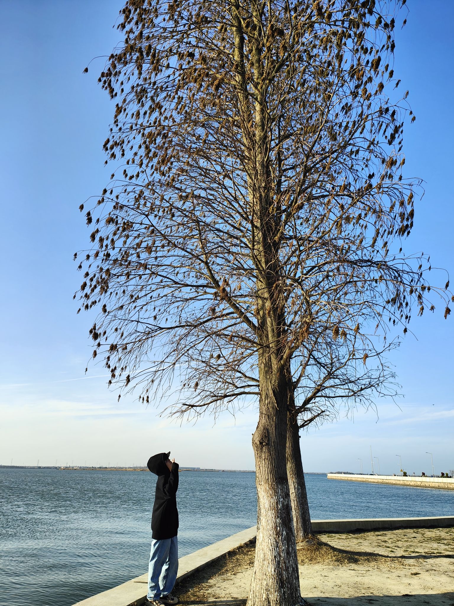 淀山湖风景区旅行图片 2
