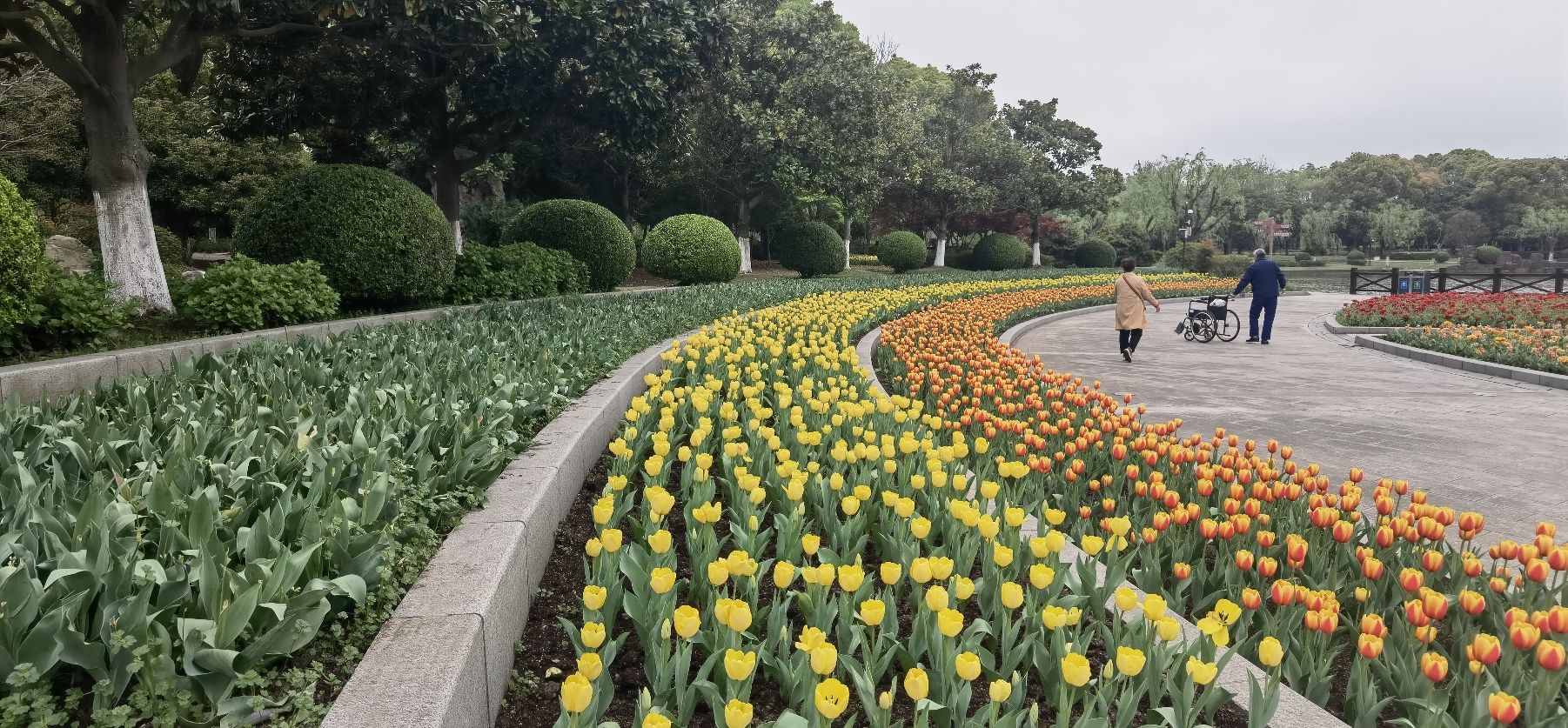 上海鲜花港旅行图片 3