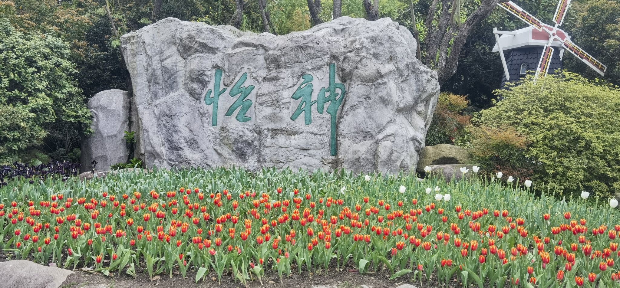 上海鲜花港旅行图片 2