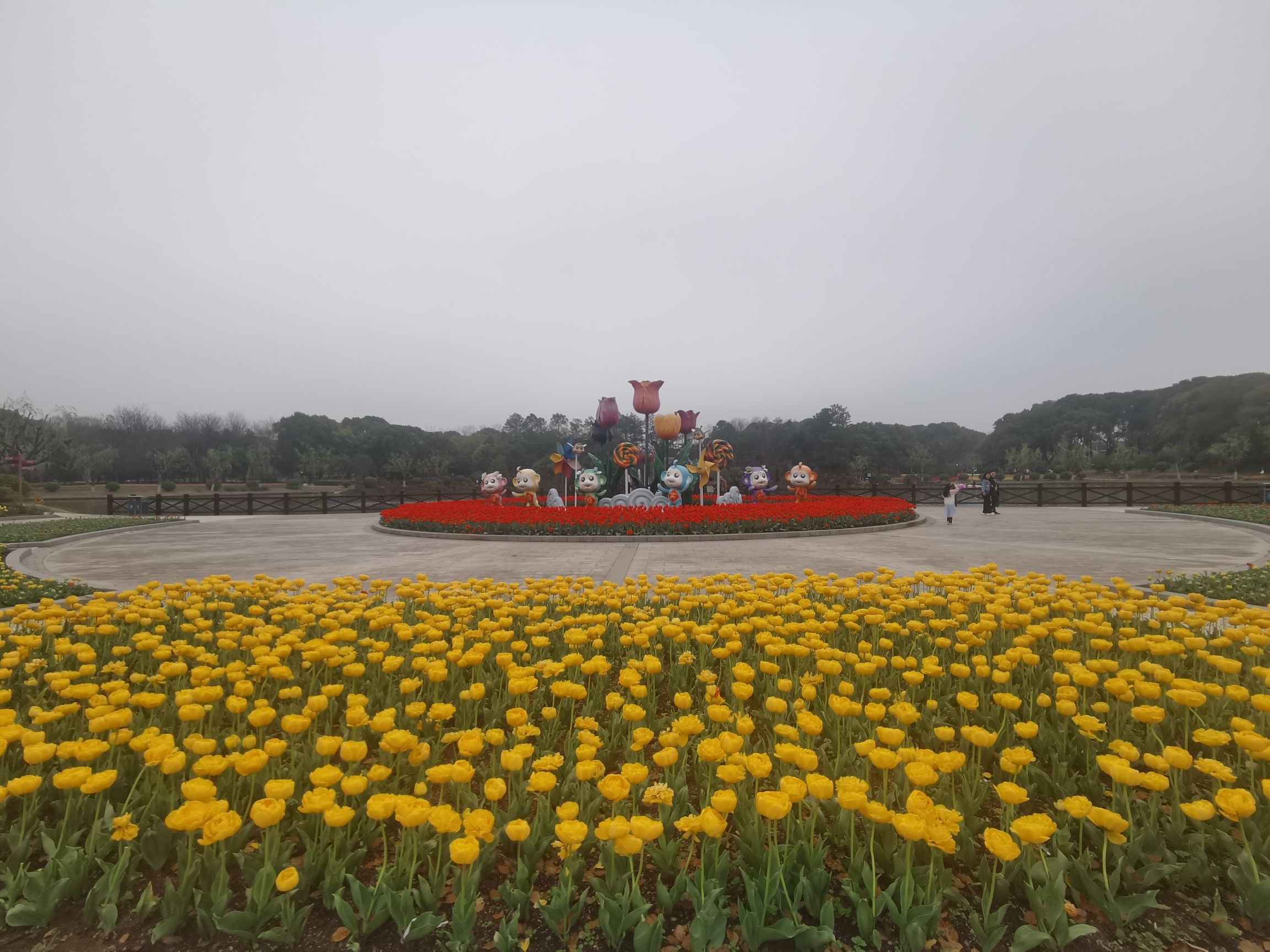 上海鲜花港旅行图片 1