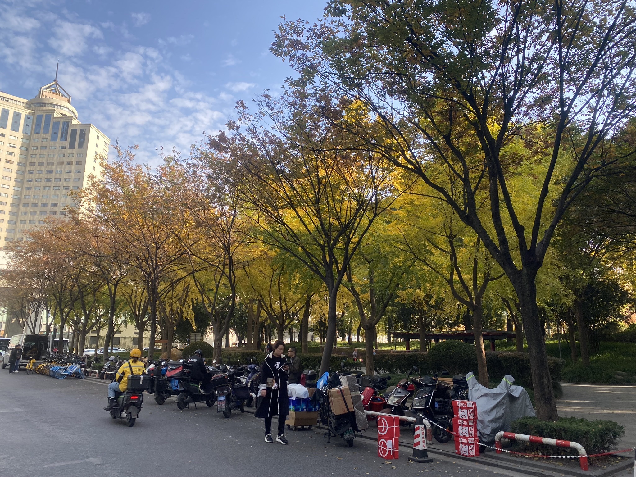 不夜城绿地旅行图片 3