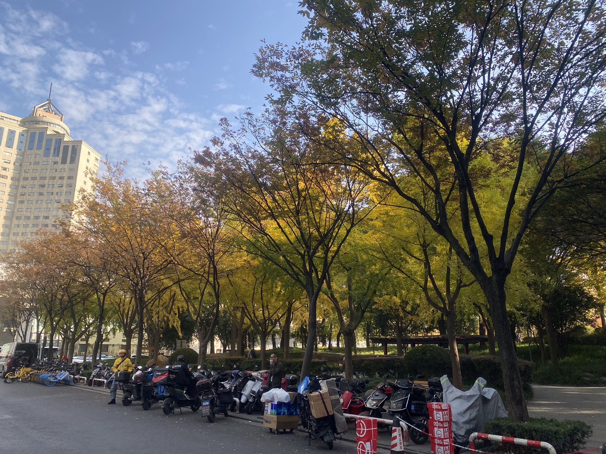 不夜城绿地旅行图片 2
