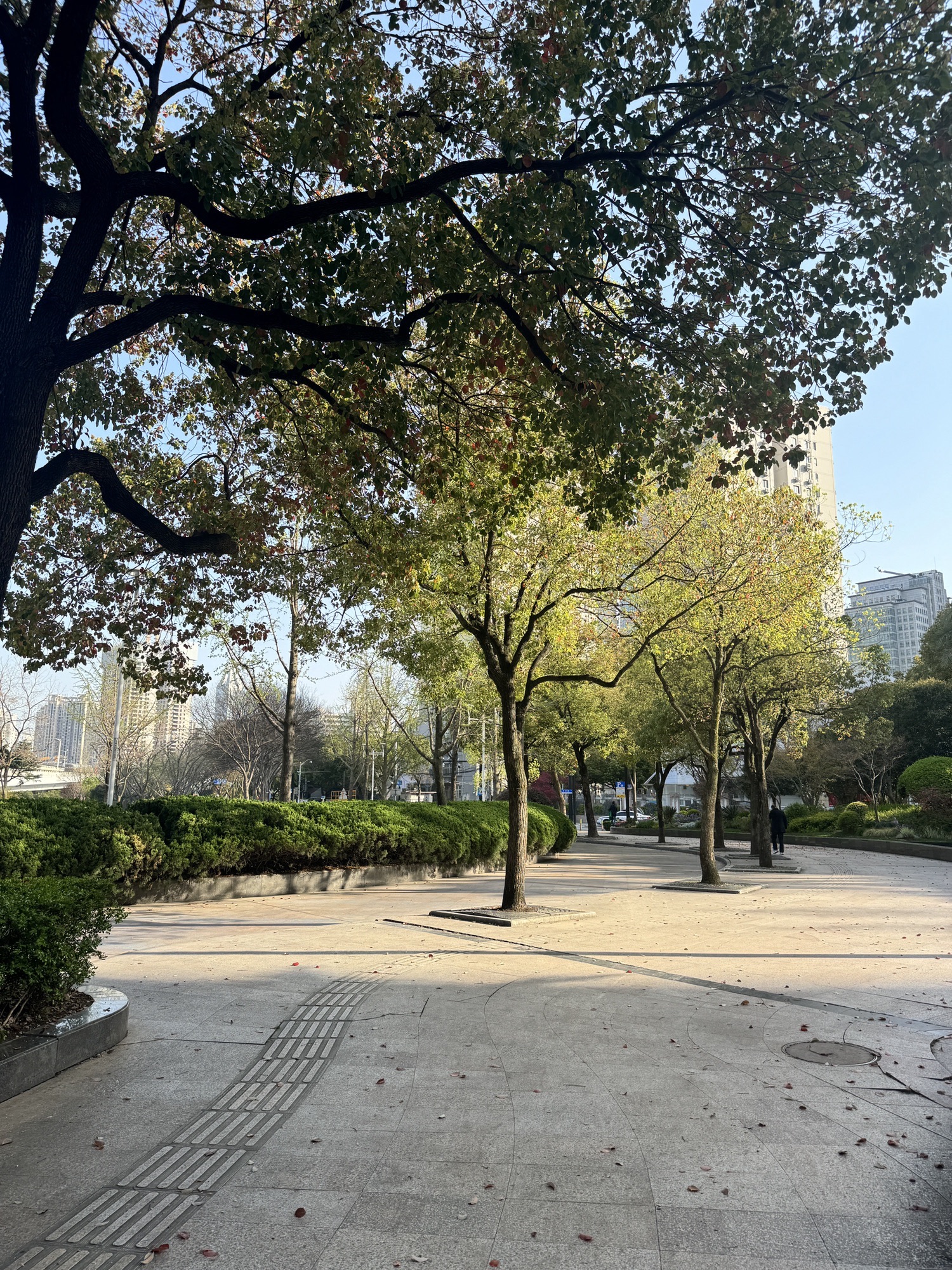 不夜城绿地旅行图片 1