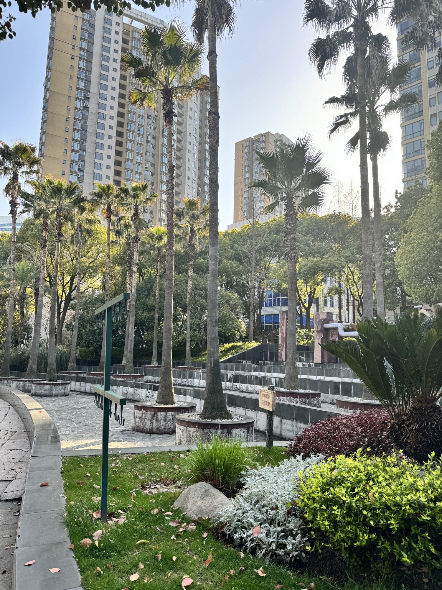 不夜城绿地旅行图片 2