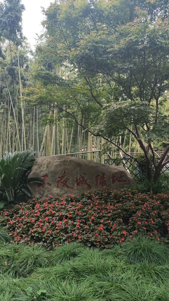 不夜城绿地旅行图片