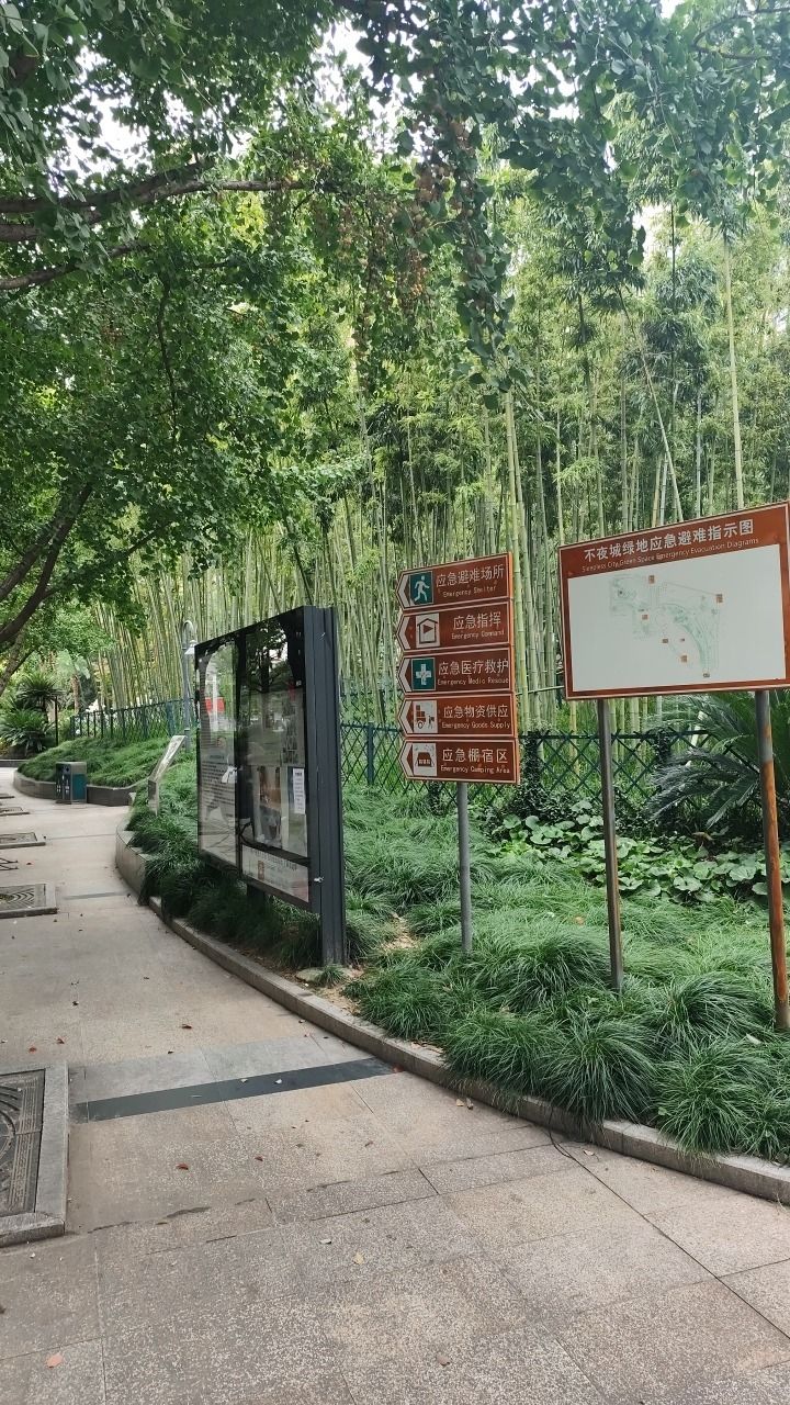不夜城绿地旅行图片 3