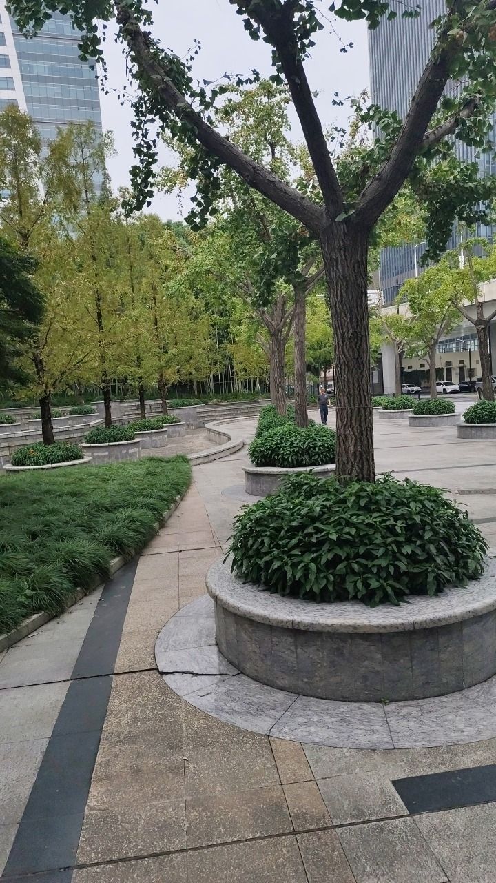 不夜城绿地旅行图片 2