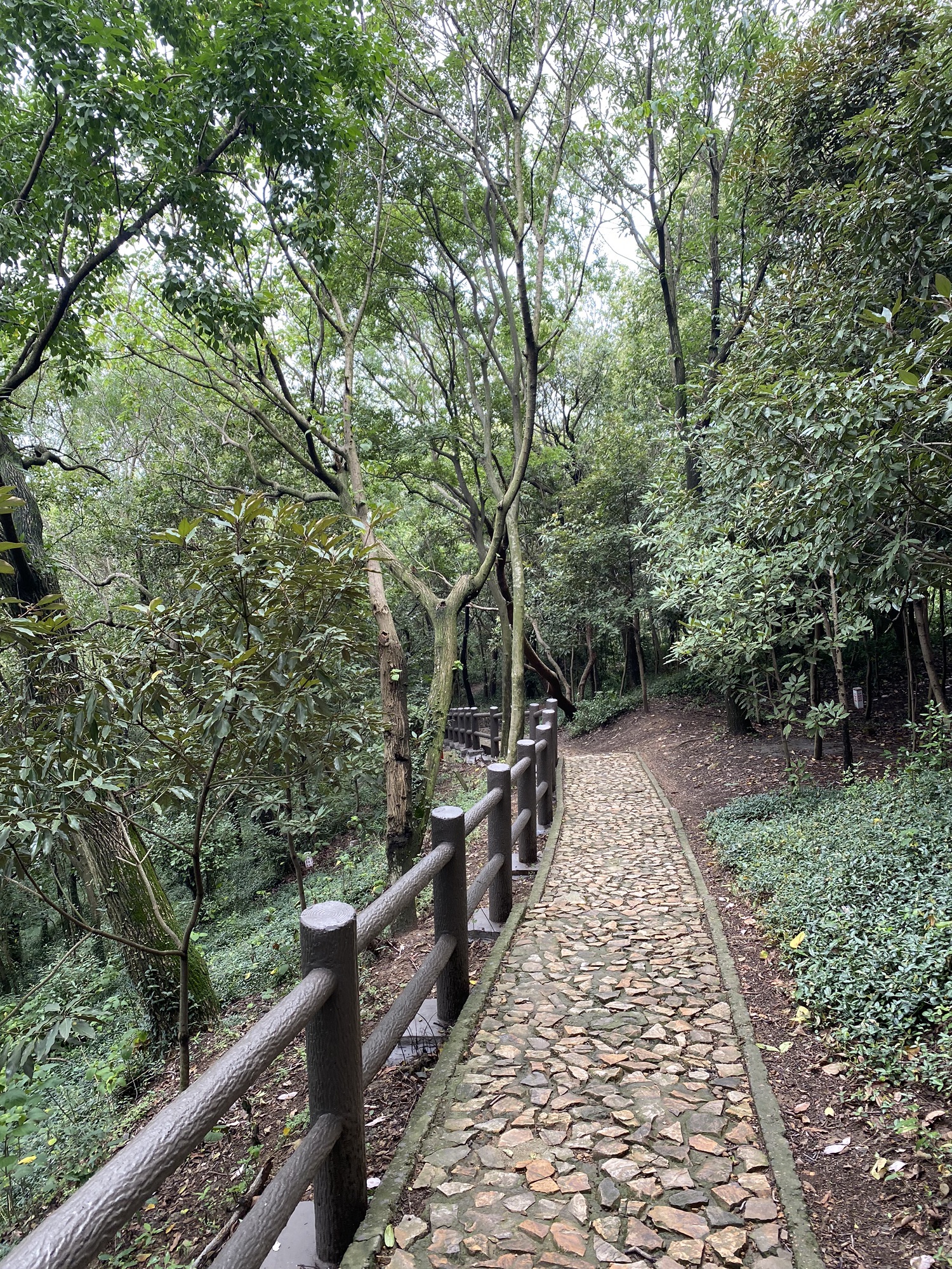 上海佘山国家森林公园-天马山园旅行图片 2