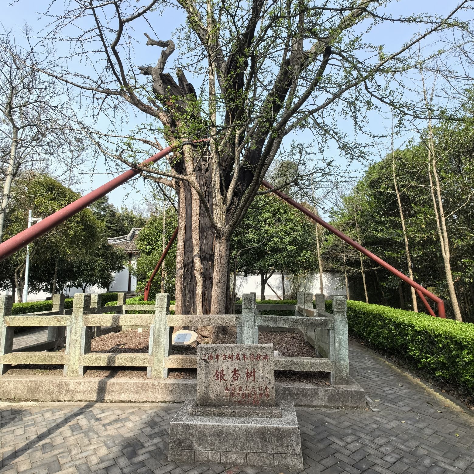 上海佘山国家森林公园-天马山园旅行图片 2