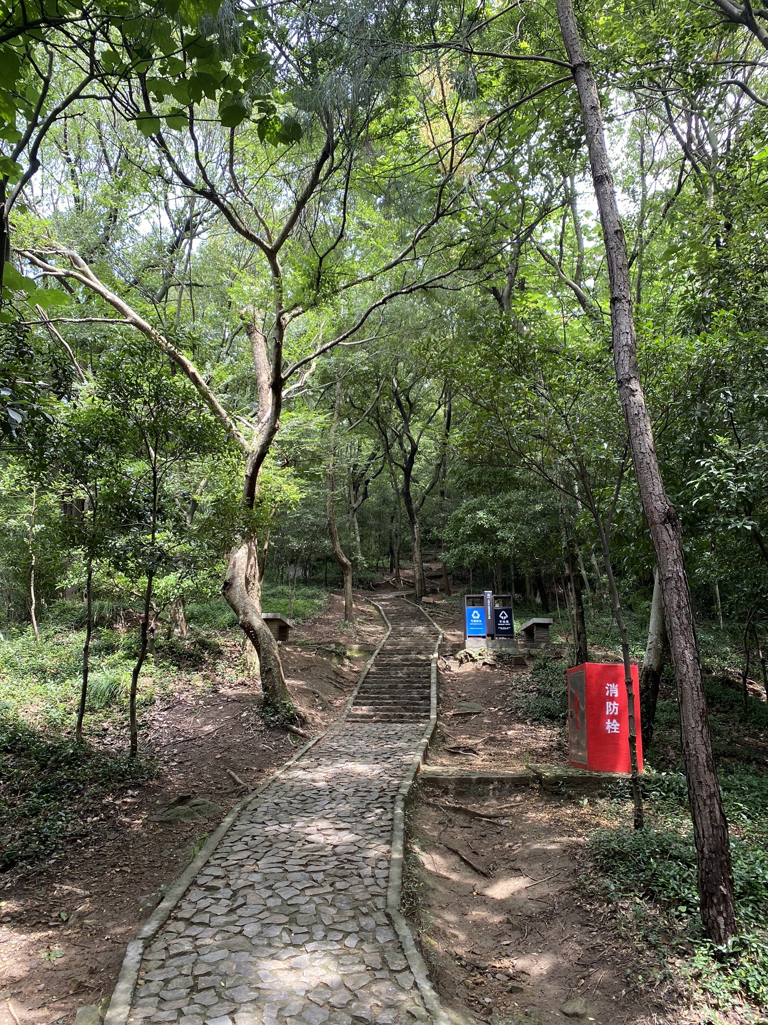 上海佘山国家森林公园-天马山园旅行图片 1