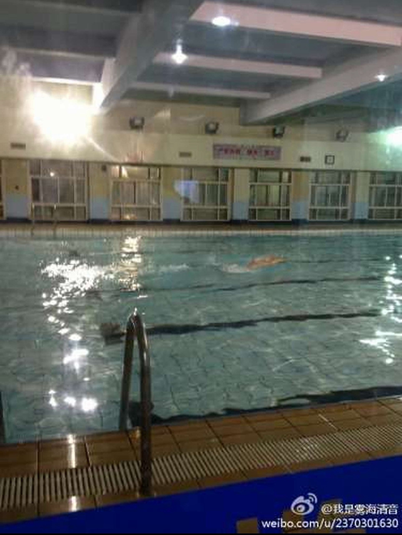 场地封面-沈坚强游泳俱乐部(武宁南路店)