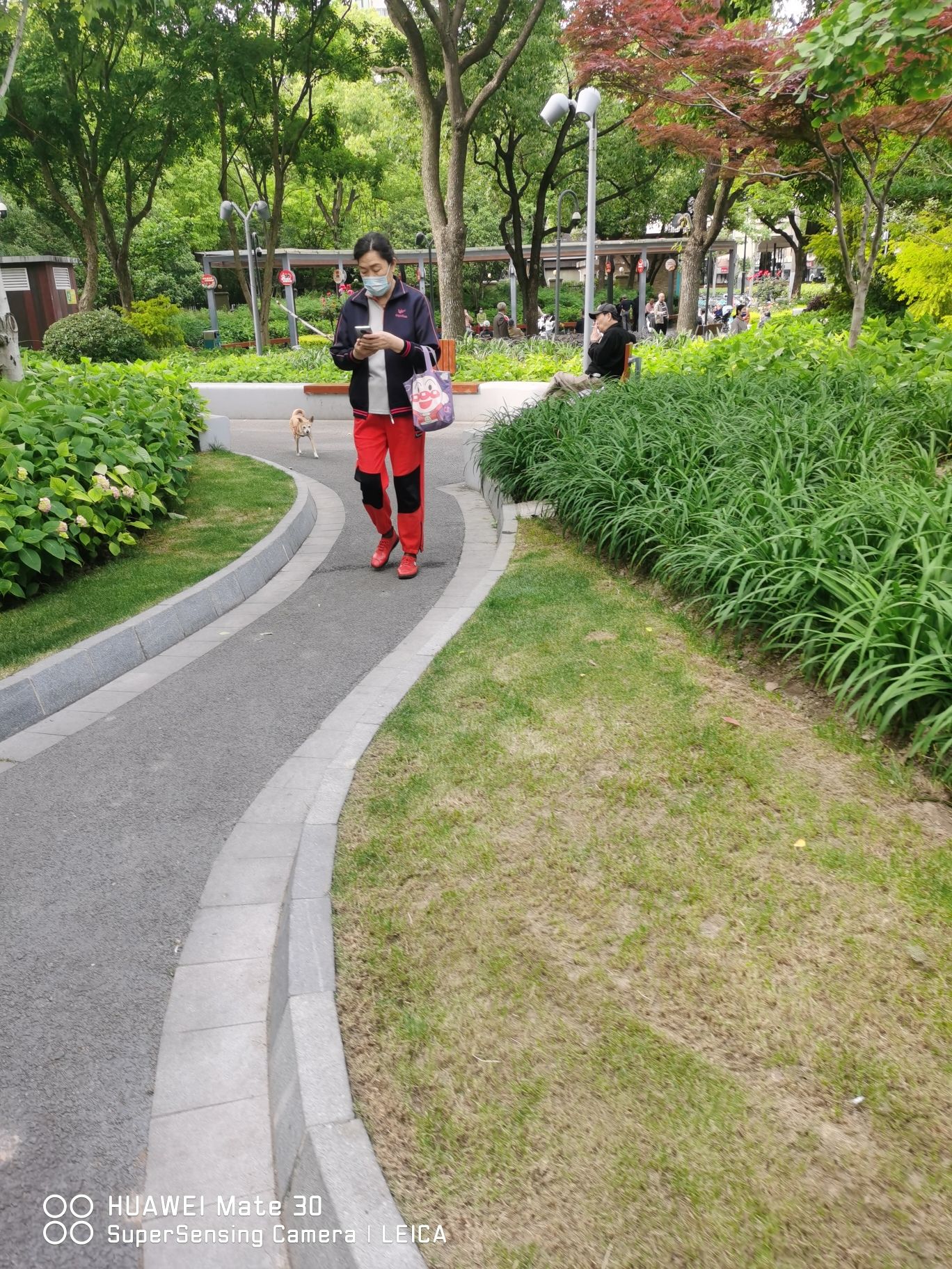 芷江绿地旅行图片 3