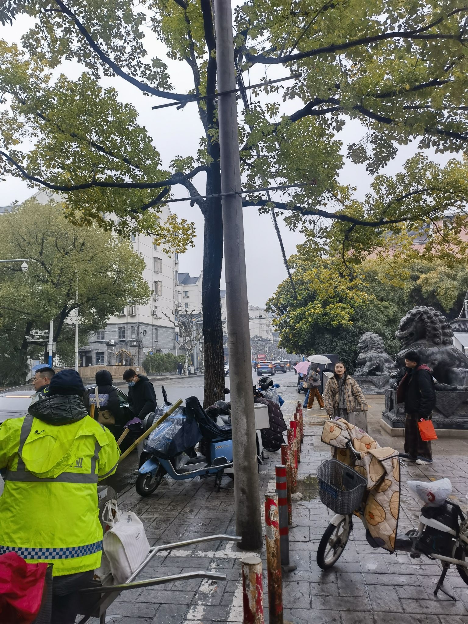 真如古镇旅行图片 1