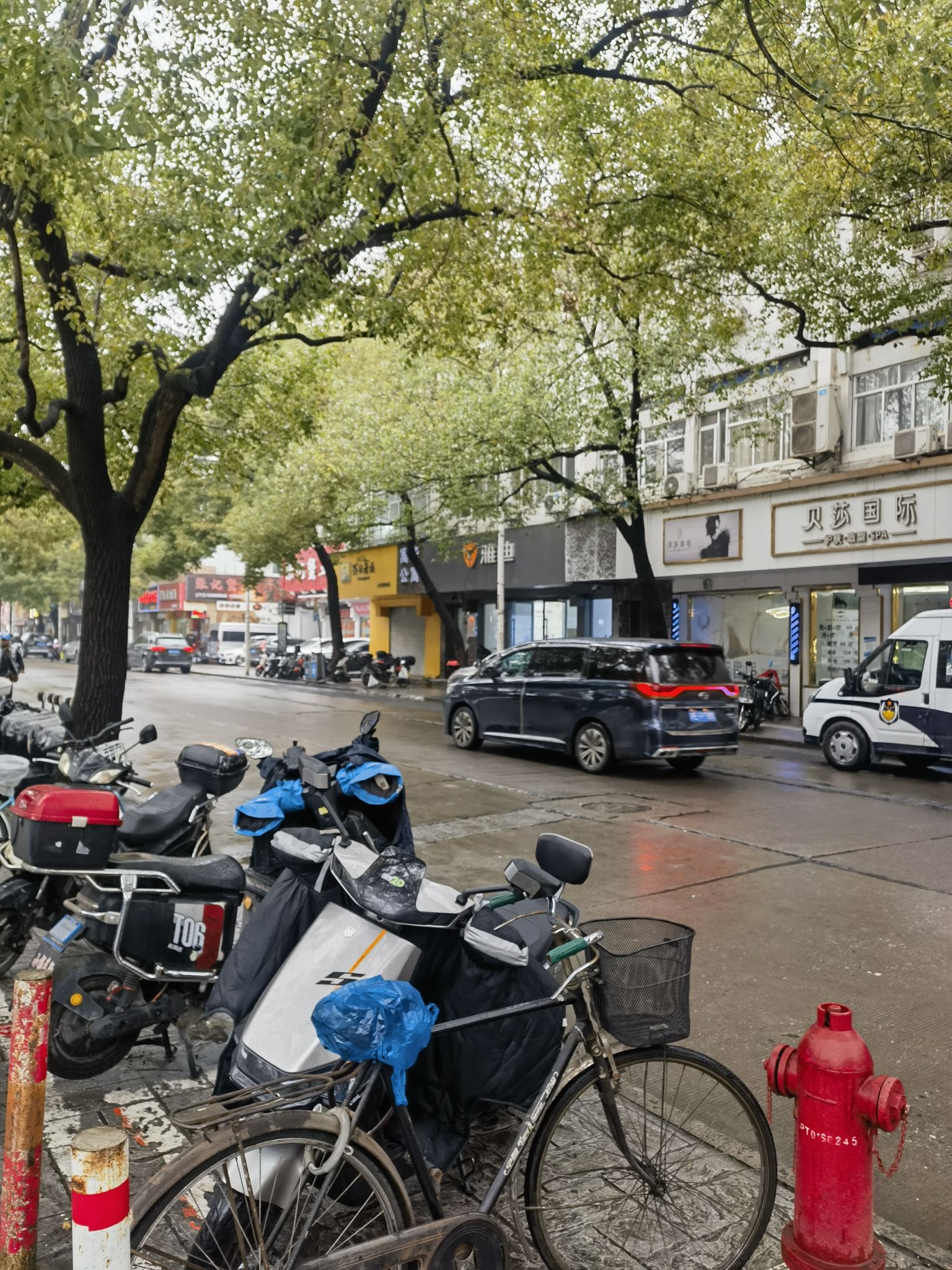 真如古镇旅行图片 2