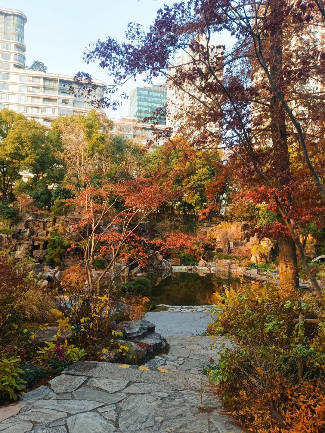 辅德里公园旅行图片 1