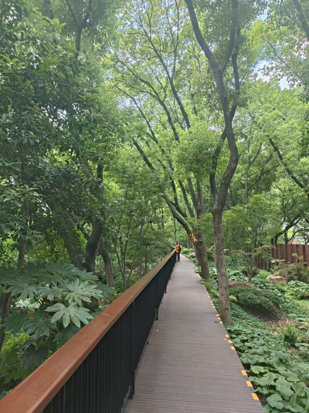 辅德里公园旅行图片 3