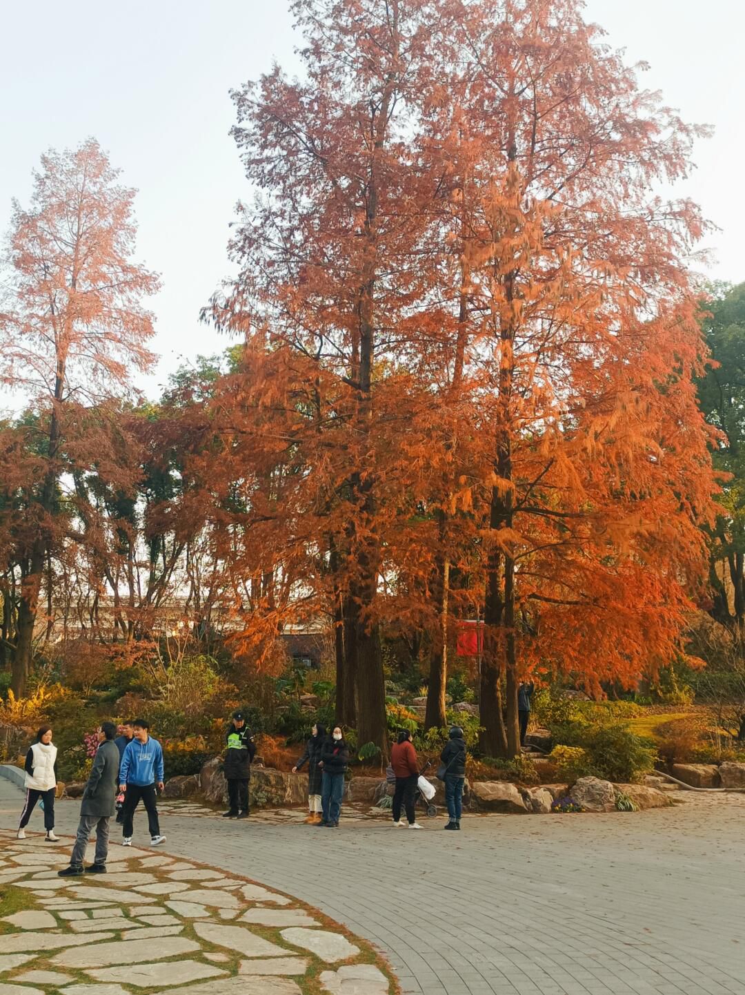 辅德里公园旅行图片 1
