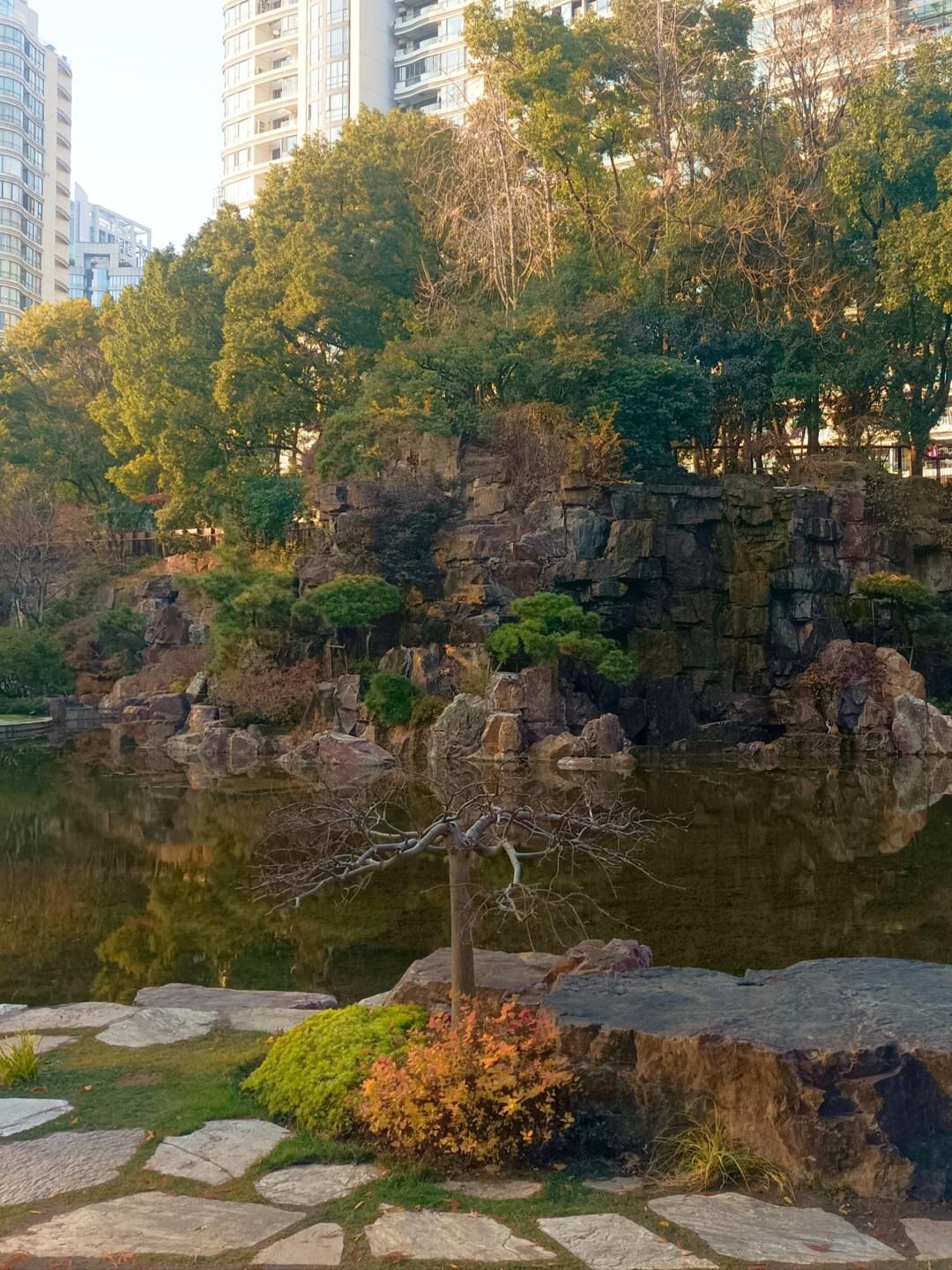 辅德里公园旅行图片 1