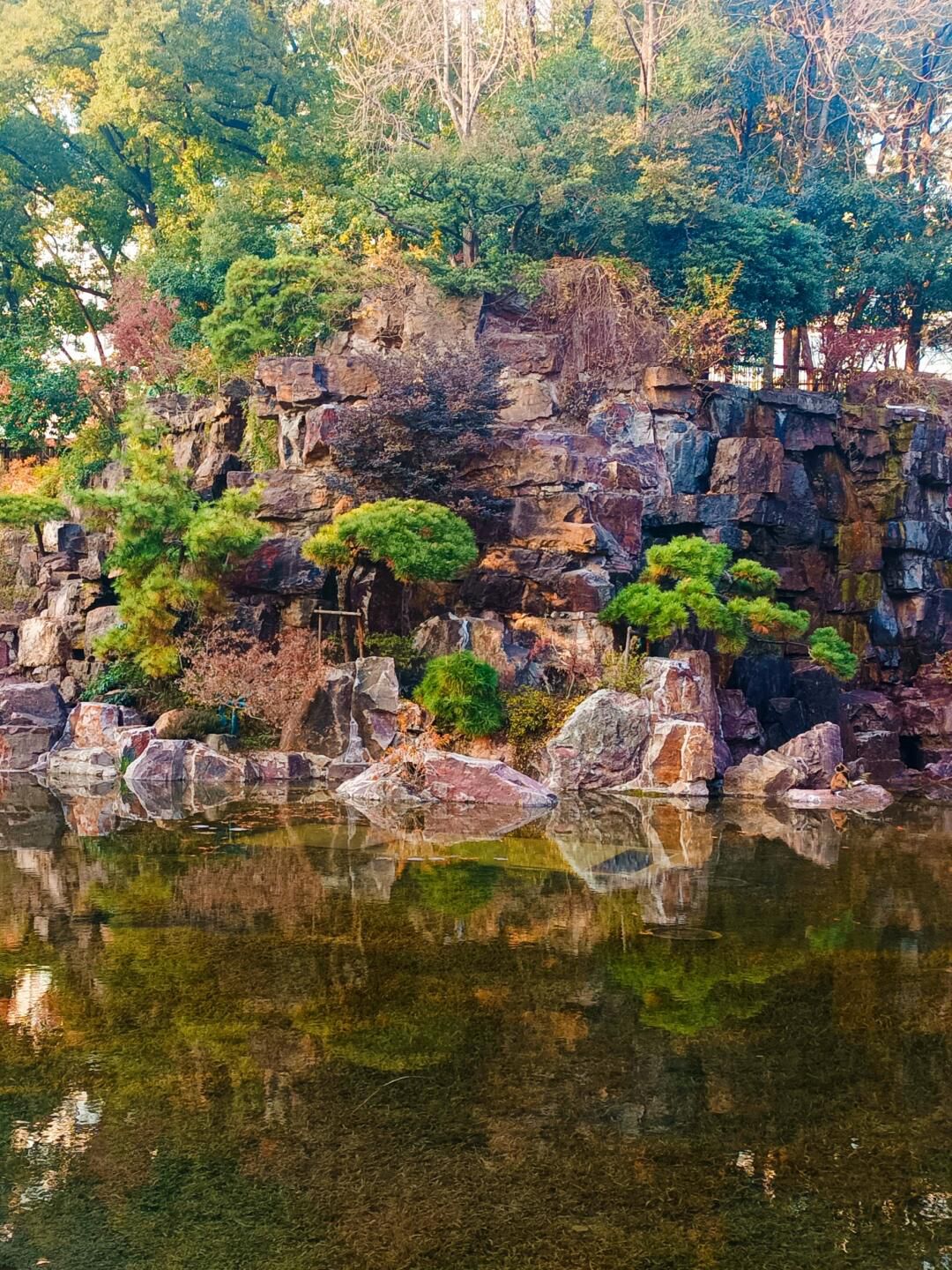 辅德里公园旅行图片 1